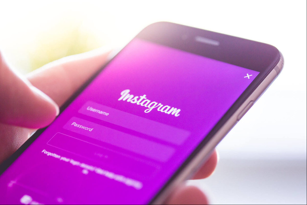agregar pronombres perfil Instagram